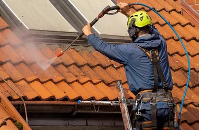 Démoussage et hydrofuge de toiture à Bignay